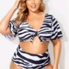 Black & White Stripes V-neck Lady Bikini Set -Meetcurve Shop b debk064002 1