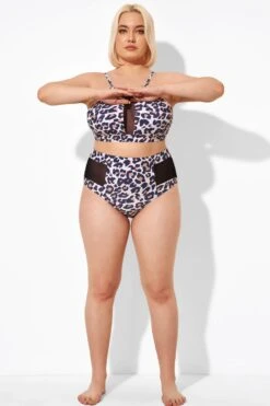Leopard Mesh High Waisted Swim Bottoms -Meetcurve Shop b debt051001 4