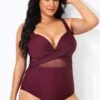 Wine Cut Out Mesh Fashion One Piece Swimsuit 2 Wine Cut Out Mesh Fashion One Piece Swimsuit -Meetcurve Shop b deop006007 1