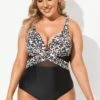 Leopard Cut Out Mesh One Piece Swimsuit -Meetcurve Shop b sfop2003053 1